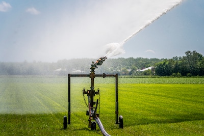 Waterschap grijpt in met ‘zeldzaam’ sproeiverbod overdag voor 1,4 miljoen mensen: ‘Situatie verslechtert’