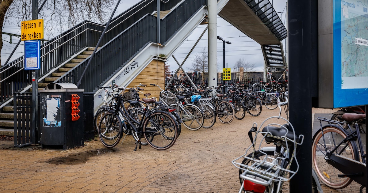 ProRail trekt miljoen uit voor fietsenchaos station Steenwijk, maar stelt harde eis