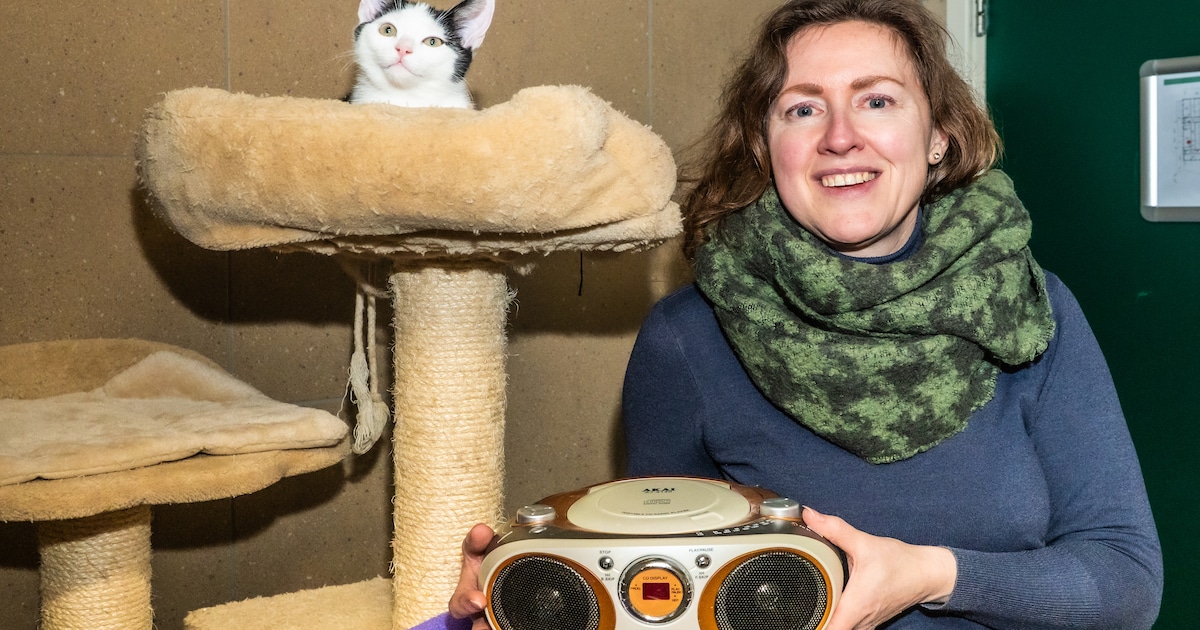 Radio’s aan in dierenasiel tegen vuurwerkknallen, nog vrijwel geen vuurwerkslachtoffers op eerste hu