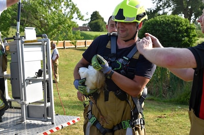 Brandweer redt gewonde jonge ooievaar uit hoog nest in Zuilichem