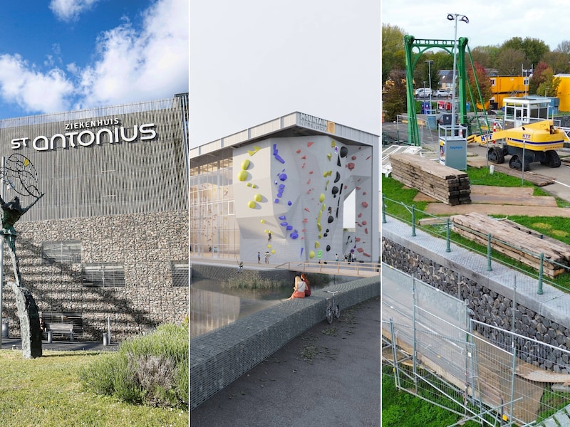 Overleden ‘transgender-raadslid’ Aoife Derriks streed voor planten ...