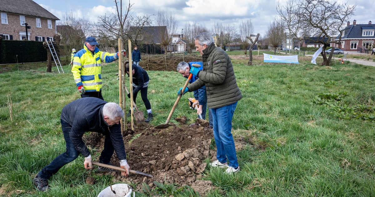 Den Burg en Oosterend krijgen extra bomen