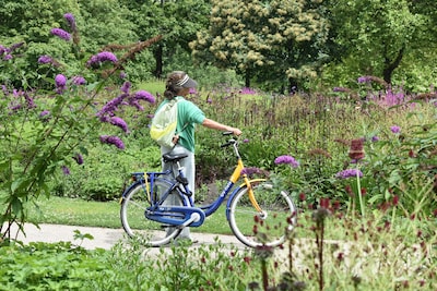 Dagje fietsen in Den Bosch? Check hier alles wat je moet weten