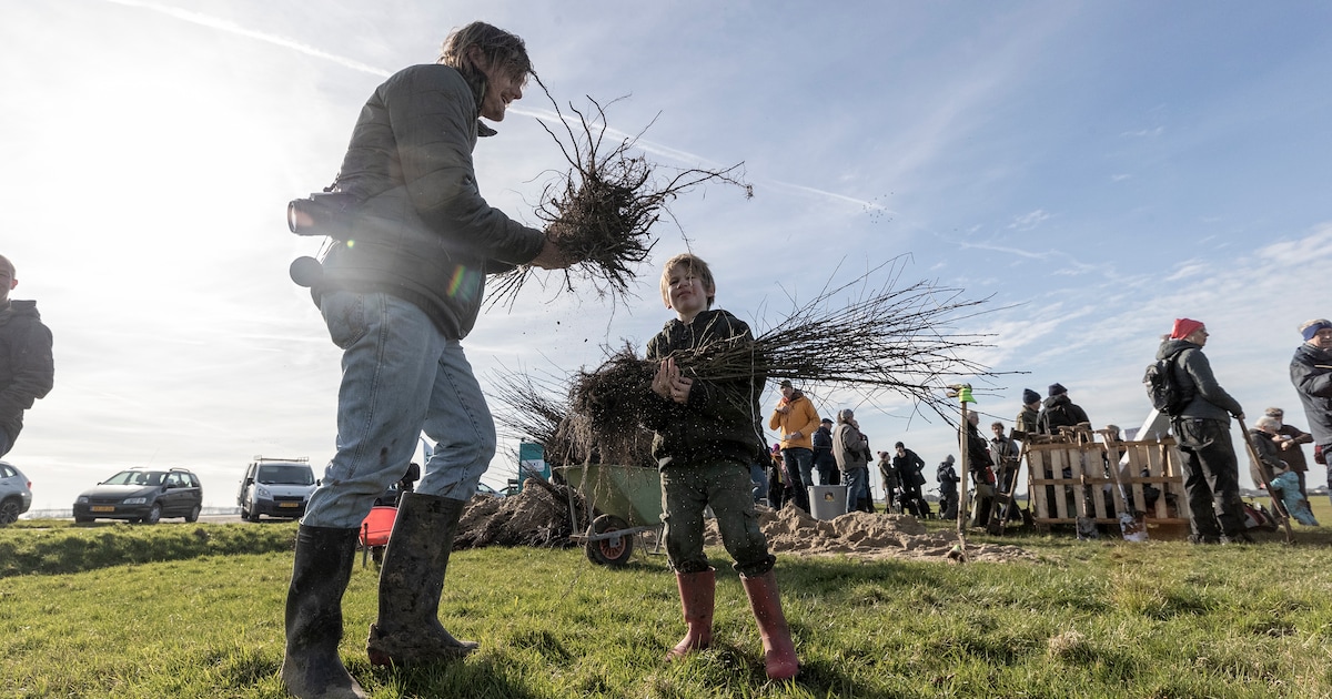 Land van Ons koopt grond, vrijwilligers gezocht voor maken oevers en heggen in Leimuiden