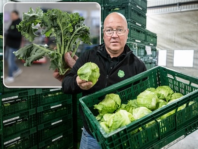 Despite drought, most fruit and vegetables remain available for now: 'But this cannot last much longer'