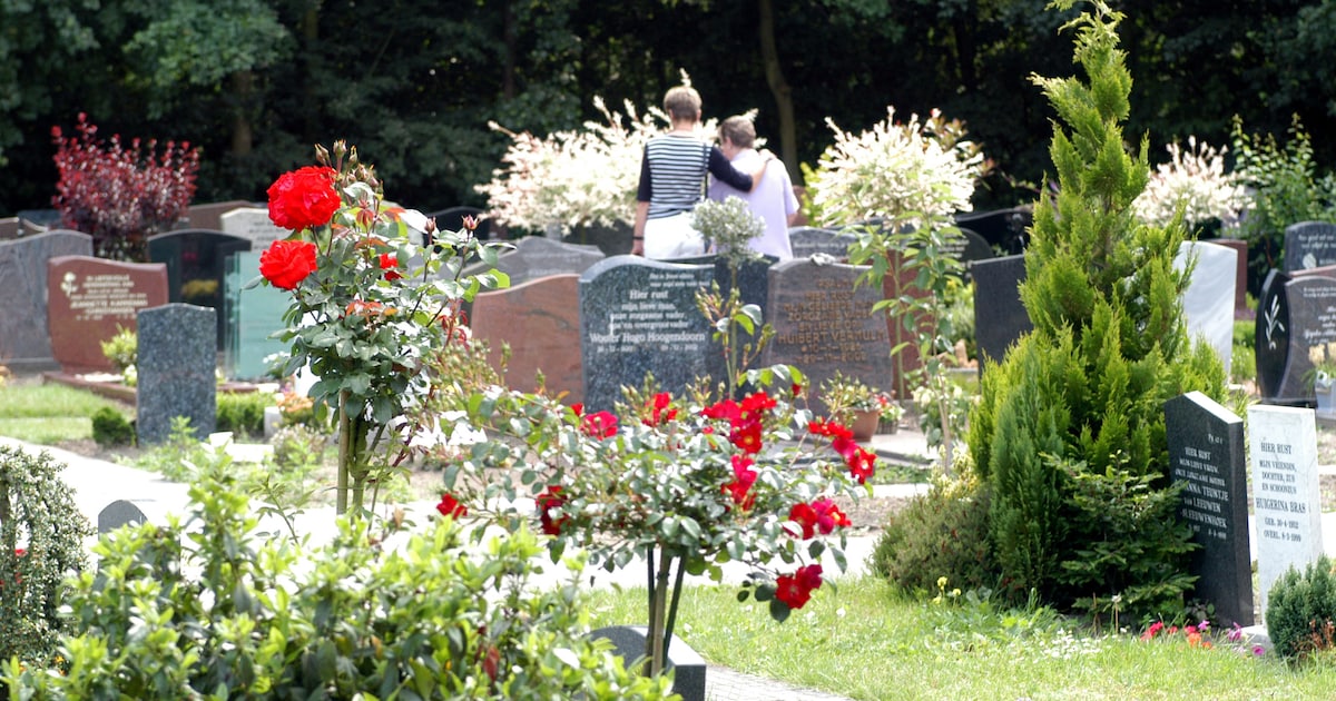 Waddinxveen onderzoekt aanleg natuurbegraafplaats