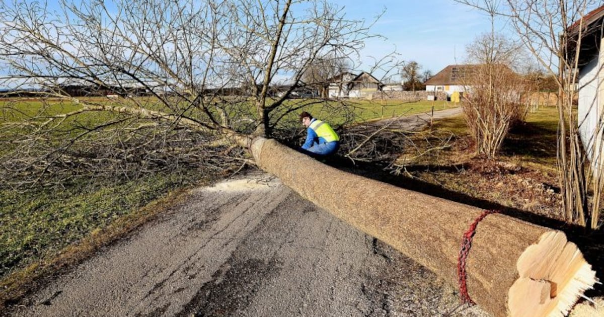 Bij bewonersparticipatie in Gouda krijgt natuur nu ook een stem: ‘Uniek in Nederland’
