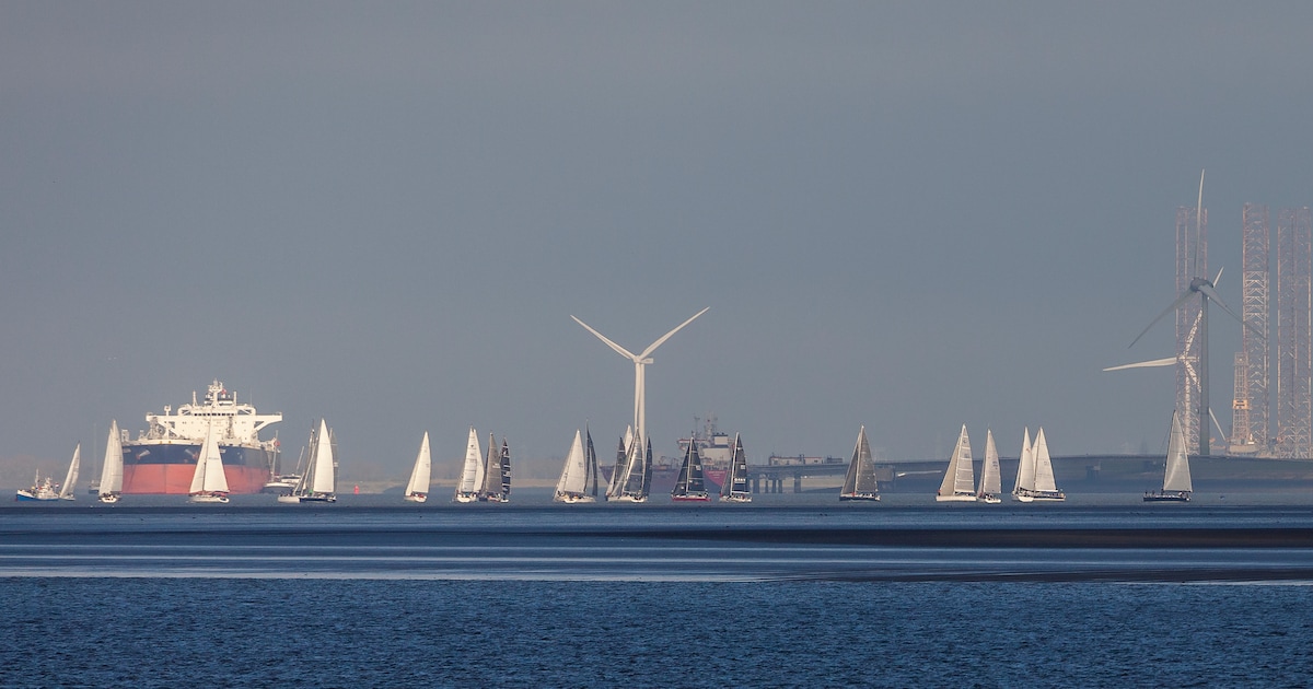 Spektakel op de Westerschelde! Meer dan honderd jachten racen naar ...