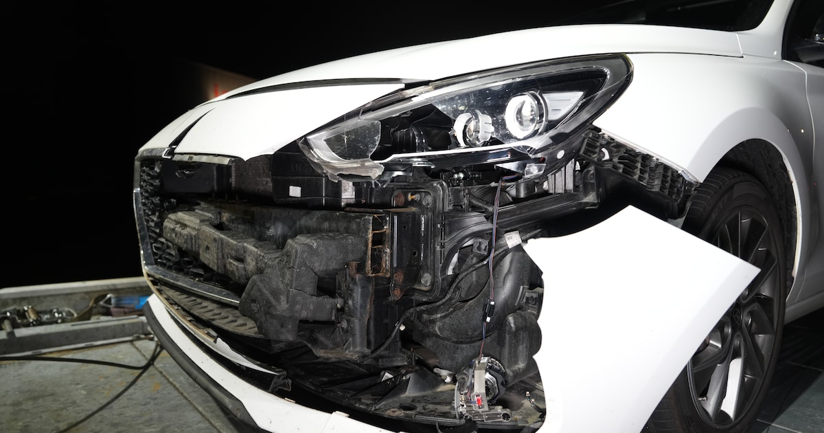 Auto raakt beschadigd na aanrijding met overstekende ree op A32 bij Steenwijk