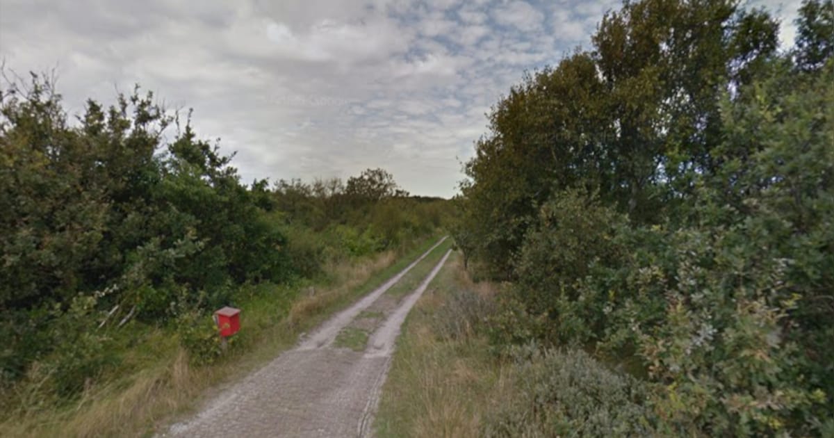 Staatsbosbeheer houdt werkdag bij Dijkstra's plasje