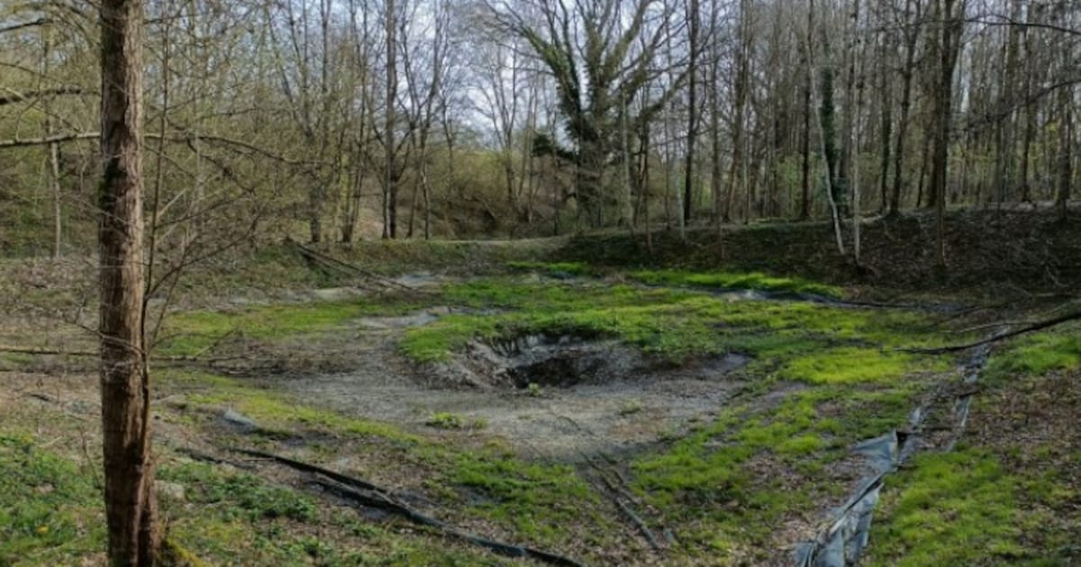 Waterbuffer Dr. Calsstraat in Landgraaf wordt vernieuwd