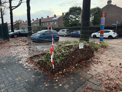Opgeruimd staat netjes: op deze plekken in Veenendaal vind je bladkorven
