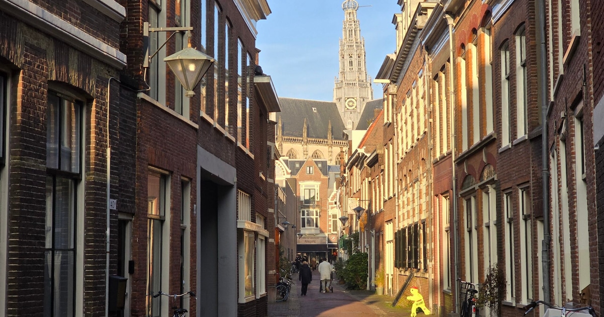 Wist je dat? Haarlem ligt in de Blauwe Banaan van Europa (en dit is de reden)