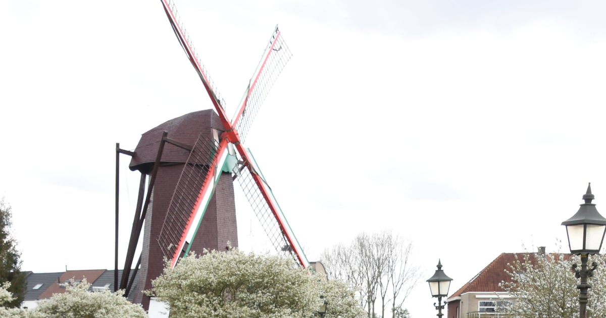 Snuif het sigarenverleden op: Heemhuis Arendonk houdt open museumdag op 30 november