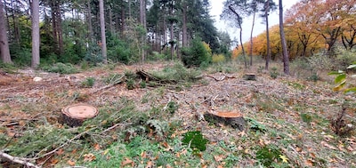Image related to the article