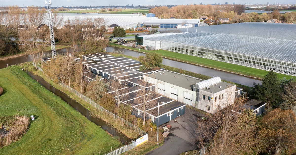 CDA wil snel woonunits plaatsen aan Nieuweweg in Honselersdijk: ‘Ligging is top en eigenaar wil aan 