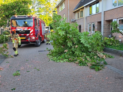 Afgebroken tak valt op auto in Bennekom, brandweer ruimt op