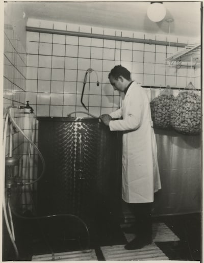 Den Haag is creatief met kurk