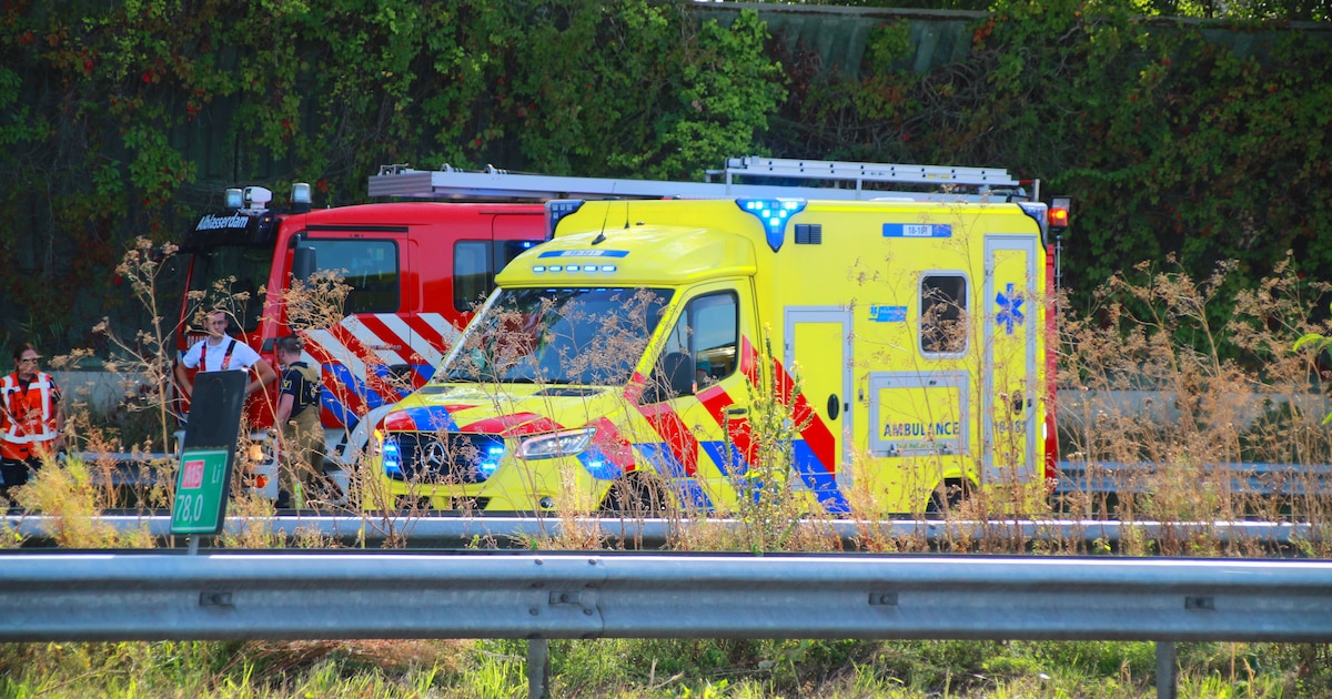 Man rijdt vol in op file A15: werkstraf en voorwaardelijke rijontzegging