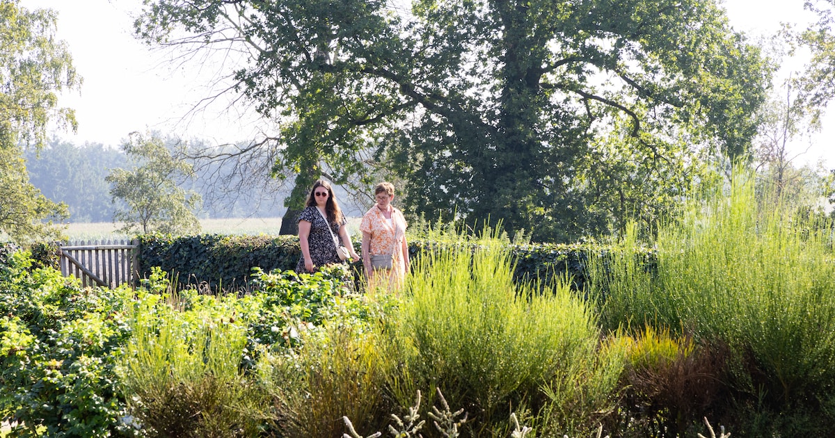 Klooster Wittem houdt rondleiding door tuin, kerk en bibliotheek
