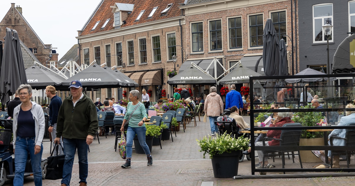 Bos- en Heidetocht voert wandelaars door stad en natuur in Hattem
