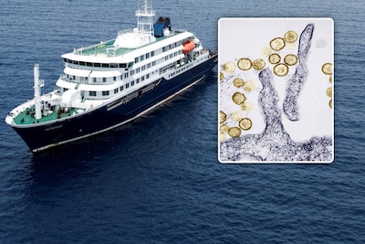 Argentinië breidt onderzoek naar oorsprong hantavirus op cruiseschip Hondius uit