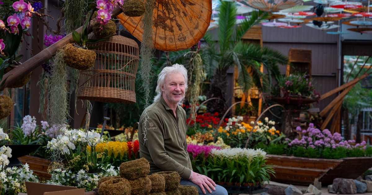 Waarom Thomas de orchidee weer in de schijnwerpers zet: ‘Dit plan zit al drie jaar in mijn hoofd’