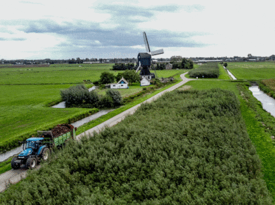 Lege akker zou een bos moeten zijn: hoe de natuurgrond langzaam verdween in de Betuwe