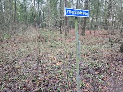 Opruimen of laten liggen: wat te doen met duizenden gedumpte oliebollen?