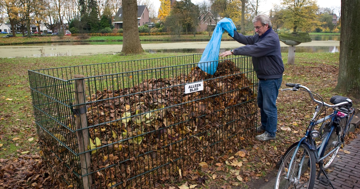 Bladkorven geplaatst in Goirle en Riel