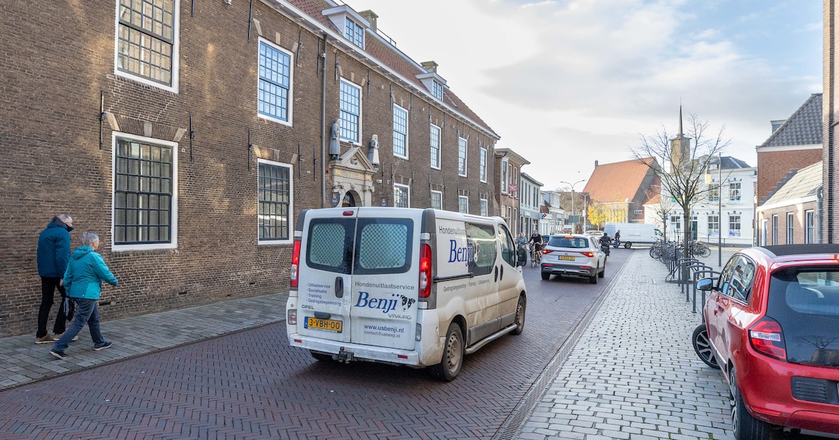 Zusterstraat krijgt nieuw gezicht: meer groen voor betere leefomgeving