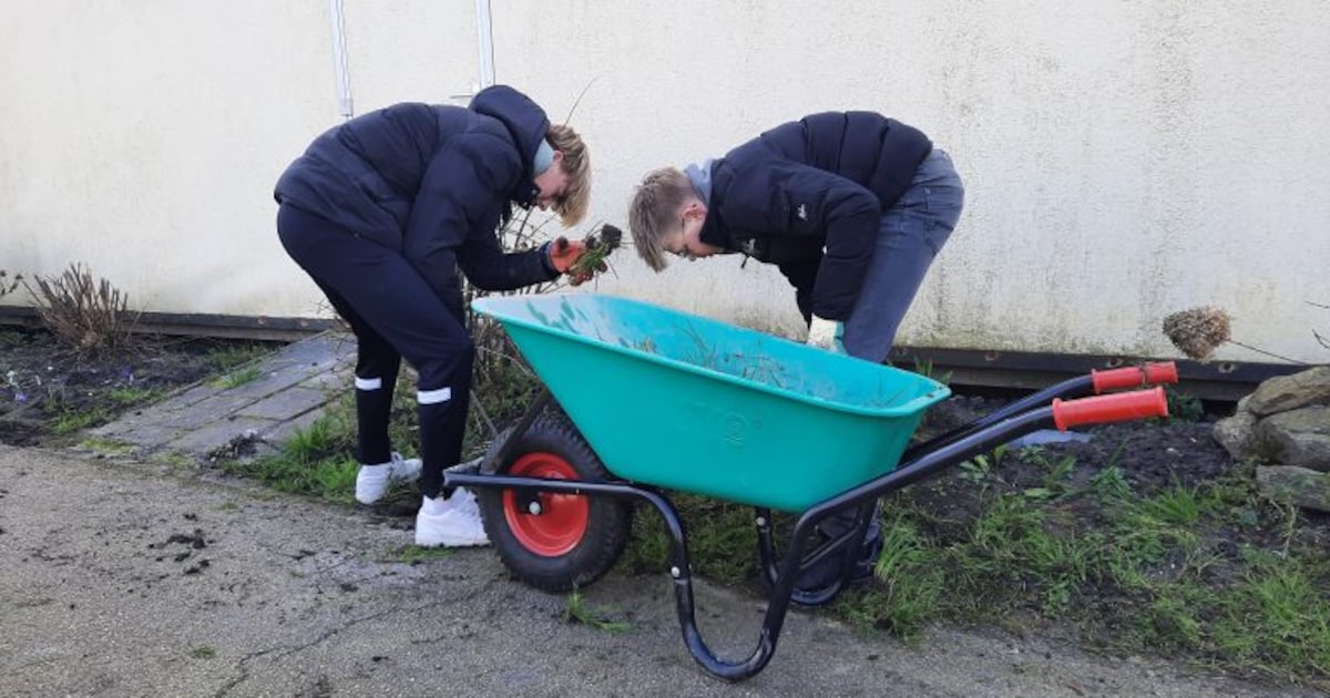 Leerlingen in Westfriesland zetten zich in tijdens NLdoet