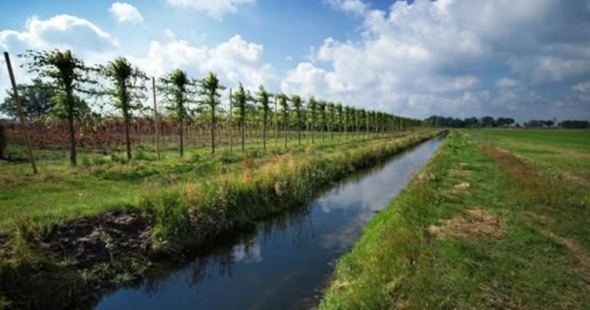 Water Natuurlijk Limburg praat in Roermond over toekomst van water