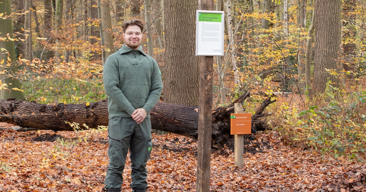 Een deel van het Baarnse Bos sterft af en dat is goed nieuws vindt boswachter Rick (24)