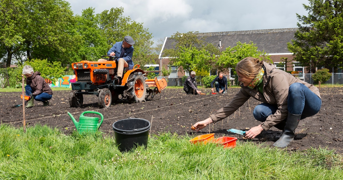 Festival voor buurtinitiatieven in Weerstand met gratis toegang