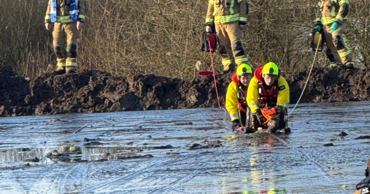Brandweer Zwijndrecht redt ree uit bagger