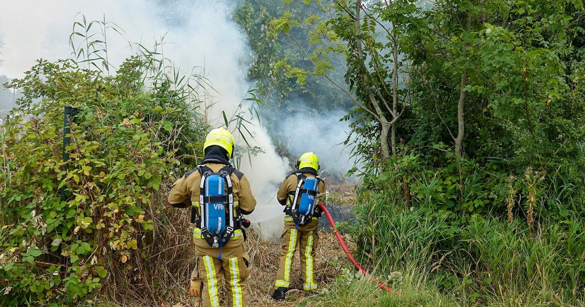 Veel rook bij brand in bosjes in Beverwijk