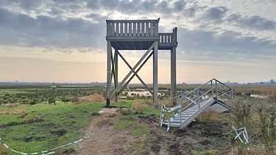 Staatsbosbeheer start crowdfunding voor herstel uitkijktoren in het Binnenveld die telkens wordt ver