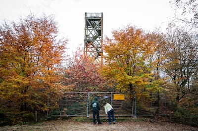 Waarom dit iconische uitkijkpunt in de bossen tijdelijk is afgesloten voor bezoekers