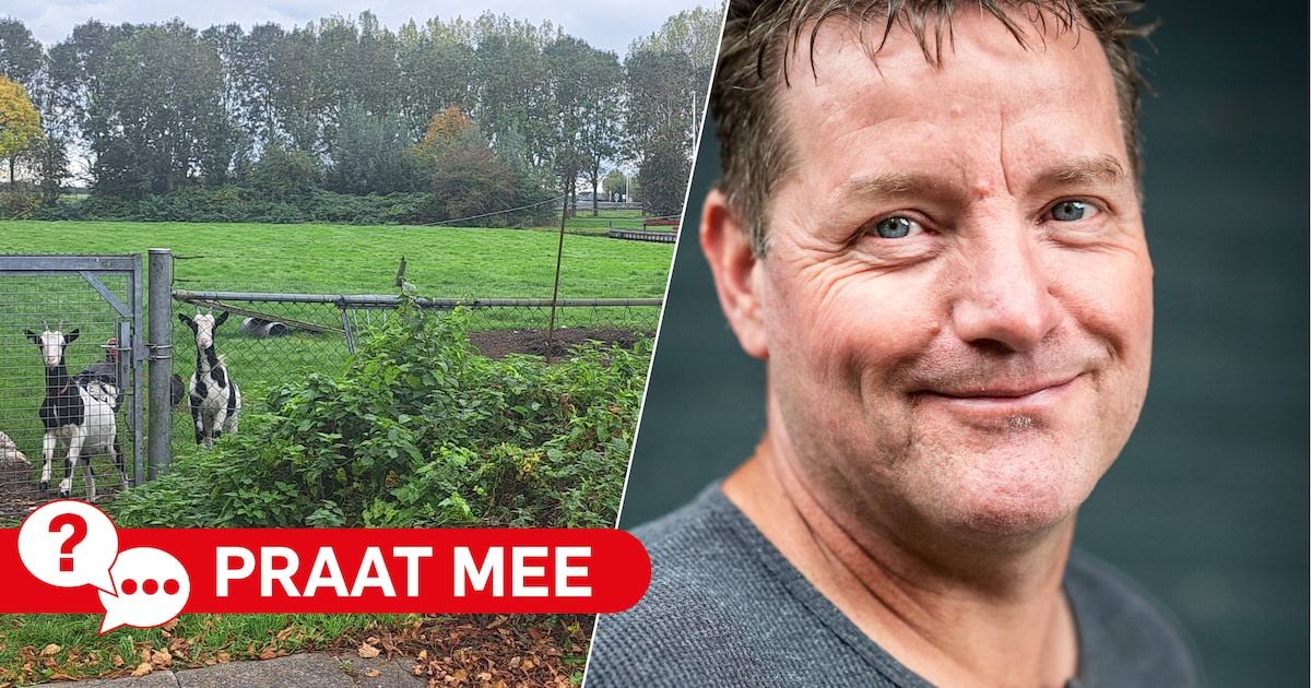 Moet dierenweide in Hoogmade rap wijken voor huizen?