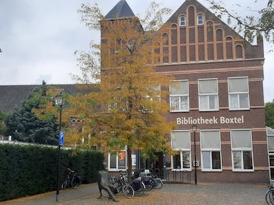 Historisch schilderij krijgt plek in bibliotheek van Boxtel