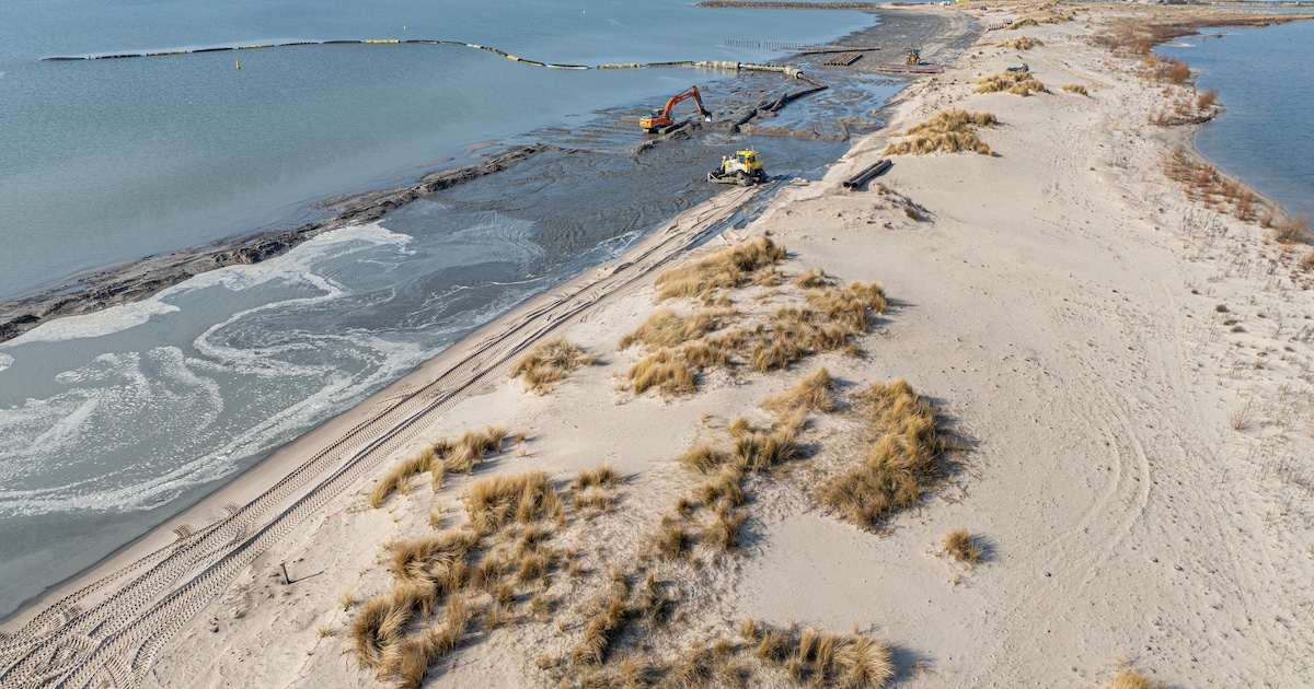 Excursie naar Marker Wadden over de balans tussen water en natuur