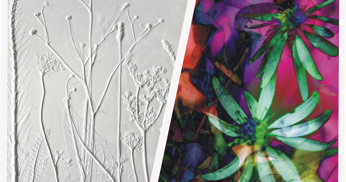 Bloemen en planten staan centraal in expositie in Olst-Wijhe