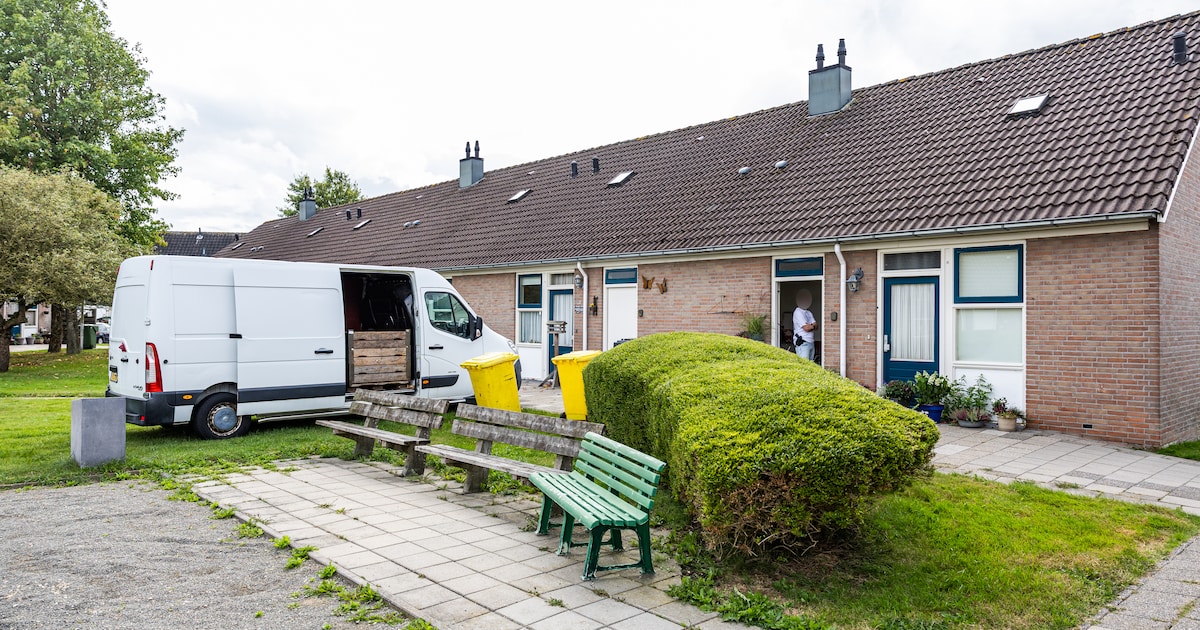 Hennepkwekerij in seniorenwoning in Grou: politie ruimt honderden ...