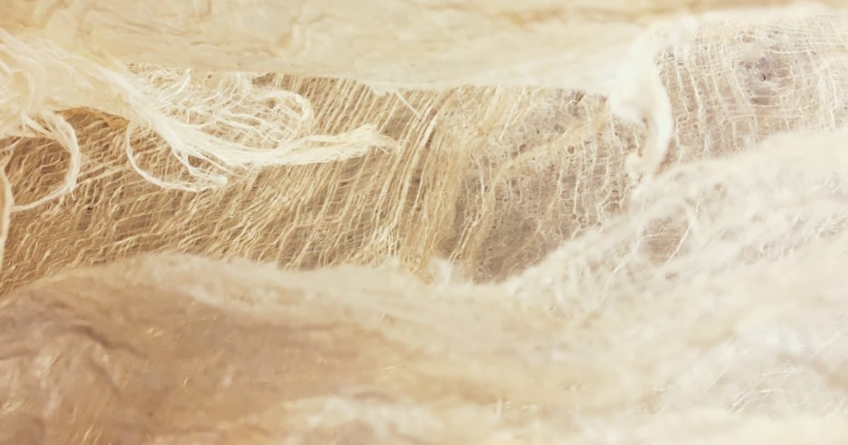 Den Herder en Lee spelen concert voor grondlegger Dat Bolwerck Zutphen