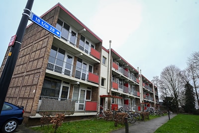 Image related to the article