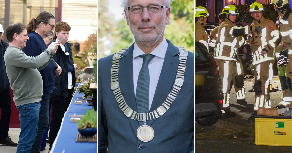 Relatiedrama escaleert en peperdure bonsaibomen: dit zijn onze meest bijzondere verhalen uit Woerden