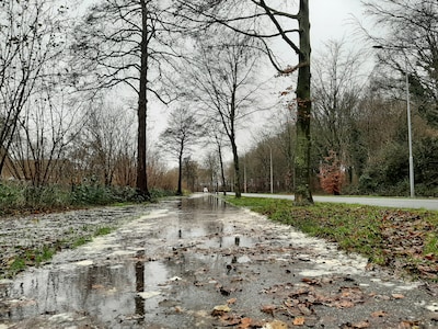 Druten, Beuningen en Wijchen onderzoeken fietsroutes