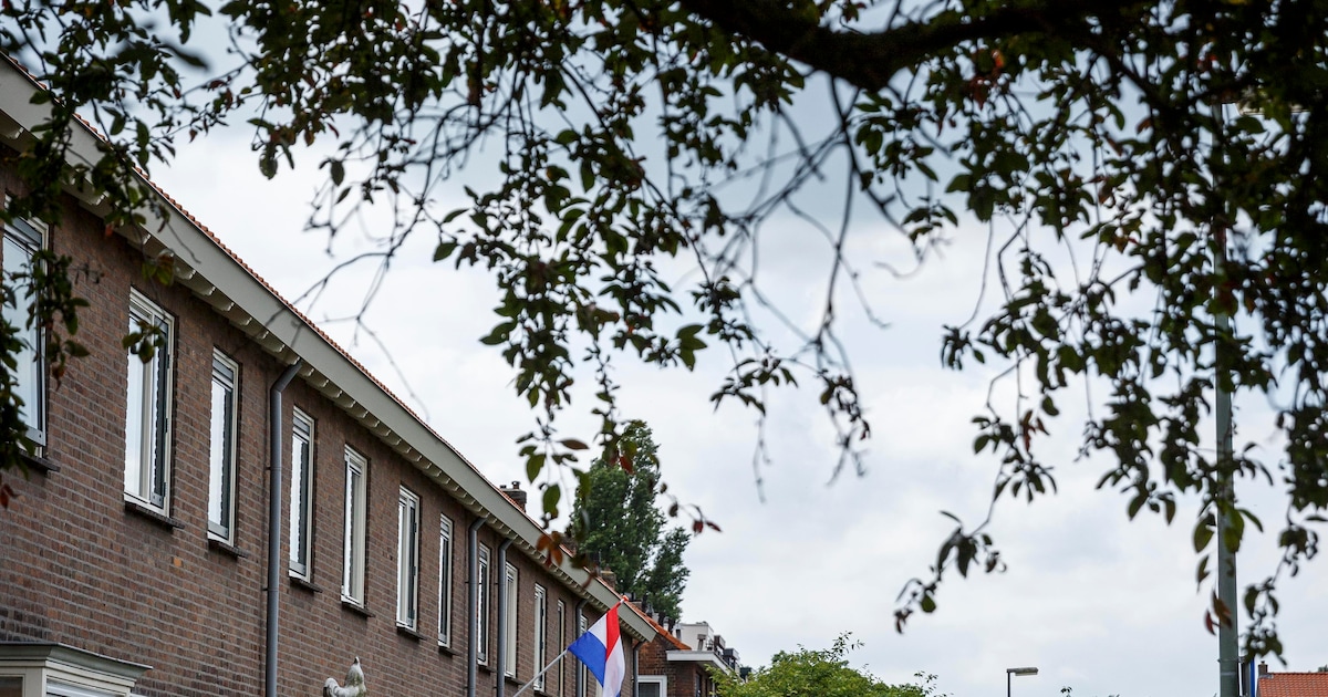 Moet de gemeente Vlaardingen doorgaan met controleren woonfraude?