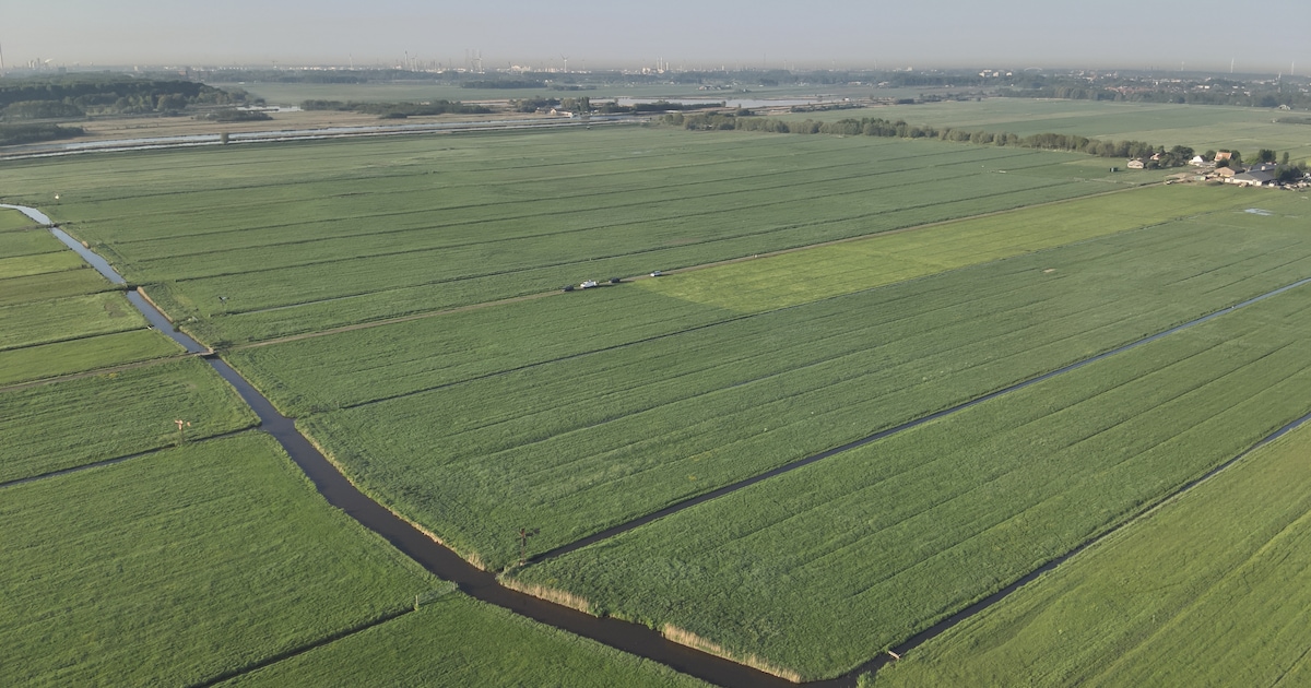 Wat vind jij belangrijk voor de toekomst van Midden-Delfland?